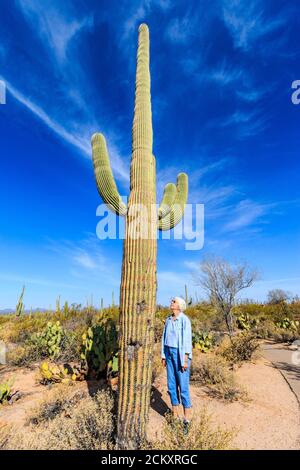Una mujer es enana por un cactus saguaro. El saguaro es un cactus parecido  a un árbol que puede crecer hasta tener más de 70 m (21 pies) de altura. Es  nativo