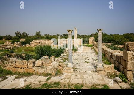 Famagusta, República Turca del Norte de Chipre, Chipre - Salamis, sitio de excavación arqueológica. Foto de stock