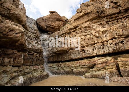 Parque nacional Ein Gedi. La cascada oculta en Wadi Arugot [Arroyo de Arugot]. El Arroyo de Arugot es uno de los dos únicos arroyos en el centro del Jud Foto de stock