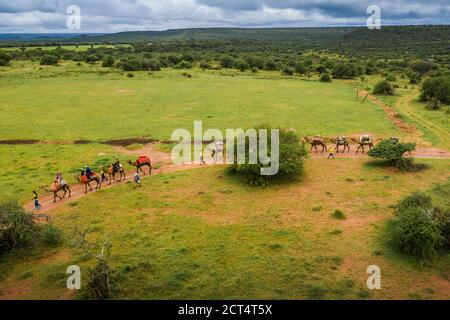 Safari en camello en Sosian Ranch, condado de Laikipia, Kenia