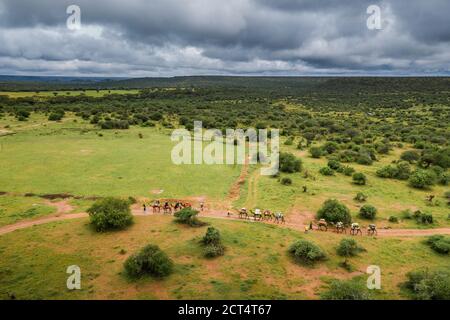 Safari en camello en Sosian Ranch, condado de Laikipia, Kenia