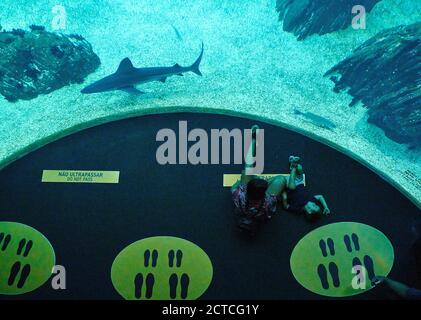 Lisboa, Lissabon, Portugal, 16 de agosto de 2020. Los turistas visitan el acuario de Oceanium. © Peter Schatz / Alamy Stock Photos Foto de stock