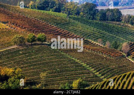 Vista desde arriba sobre casas rurales entre viñedos otoñales en las colinas de Langhe en Piamonte, norte de Italia. Foto de stock