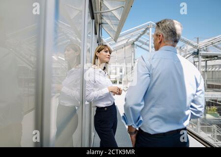 Profesionales de negocios discutiendo mientras se está de pie en el invernadero Foto de stock