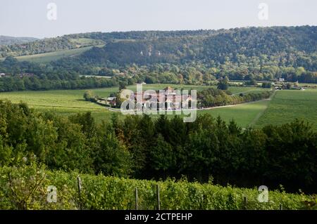Vides en el Denbies Vineyard Estate en Surrey, Reino Unido
