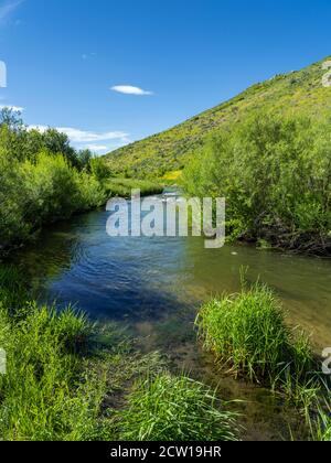 Pequeño arroyo de montaña, Park City, Utah, EE.UU