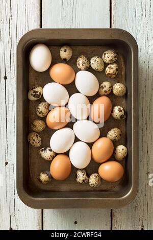 Pollo y huevos de codorniz en una bandeja de hojalata sobre un fondo de madera, vista superior