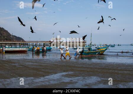 Puerto López, Ecuador - 26 Nov, 2012: gaviotas pululan alrededor del barco como los peces que son descargados Foto de stock