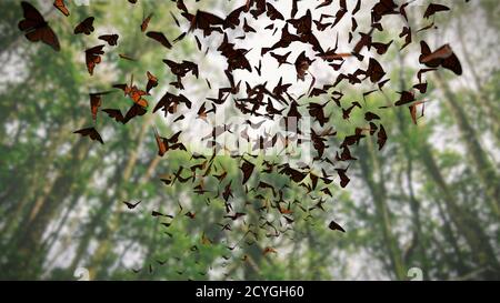 Grupo de mariposas monarca, Danaus plexippus enjambre volando a través de un bosque