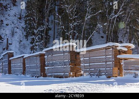 Trettachtal, Holzstapel, Bauholz, schneebedeckt, Oberstdorf Foto de stock