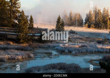 Otoño y fotografías de los paisajes y la fauna del Parque Nacional Yellowstone en Wyoming, EE.UU. Foto de stock