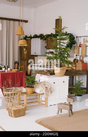Comedor de época, decorado para Navidad y año Nuevo. Un montón de árboles de Navidad en macetas en la cocina Foto de stock