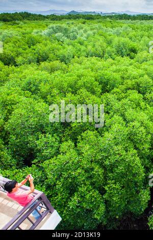 Un hombre viajero se encuentra en la torre del bosque una vista de los manglares con teléfono celular, atracciones turísticas en Prachuap Khiri khan, Tailandia. Foto de stock