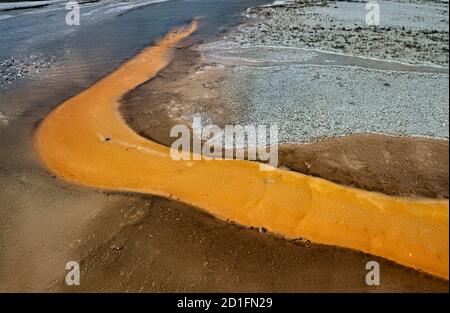 Colchoneta bacteriana, Cuenca del Geyser Superior, Parque Nacional Yellowstone, Wyoming, EE.UU