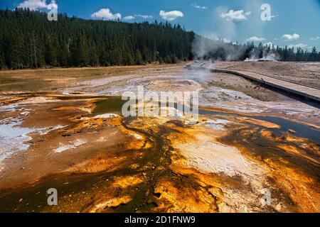 Colchoneta bacteriana, Cuenca del Geyser Superior, Parque Nacional Yellowstone, Wyoming, EE.UU