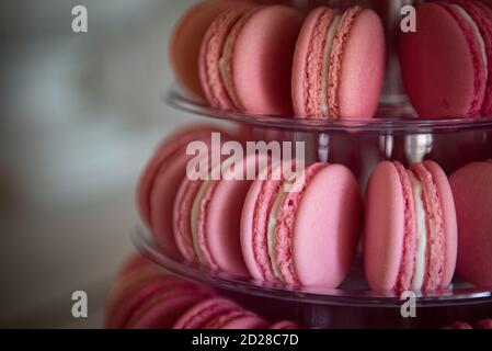 Galletas de macarrones de color rosa francés deliciosas y dulces.