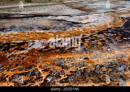 Esterillas bacterianas, Cuenca del Geyser Superior, Parque Nacional Yellowstone, Wyoming, EE.UU