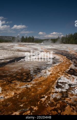 Esterillas bacterianas, Cuenca del Geyser Superior, Parque Nacional Yellowstone, Wyoming, EE.UU