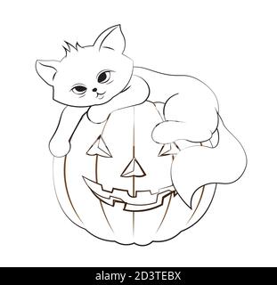 Gato de Halloween de calabaza página para colorear Imagen Vector de stock - Alamy Gato de Halloween de calabaza página para colorear Imagen Vector de stock - Alamy