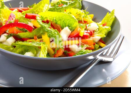 Rohkost, gemischter Salat mit Romansalat, Paprika, Fenchel und Mango. Foto de stock