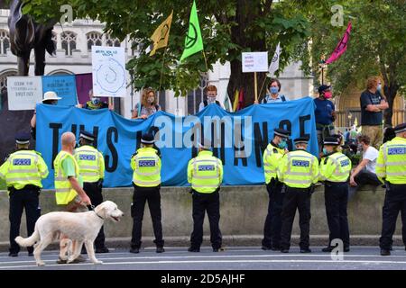 Extinción rebelión contra el cambio climático y la agricultura animal protestan en Parliament Square, Londres, septiembre de 2020