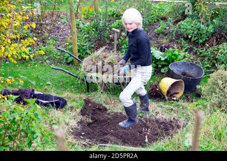 Mujer mayor excavando en el jardín rural en otoño Carmarthenshire GALES REINO UNIDO KATHY DEWITT