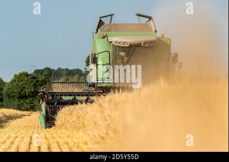 Alemania, Grevenbroich, cosechadora en el campo Foto de stock