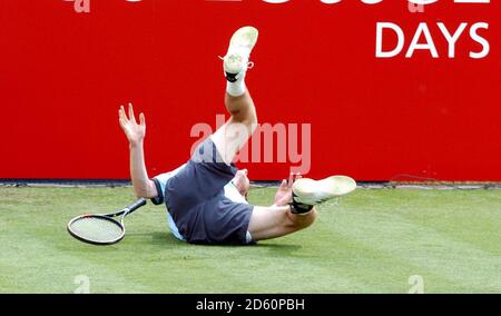 Andy Murray de Gran Bretaña cae sobre el césped Foto de stock