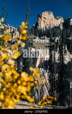 Una impresionante vista de otoño con hojas de álamo amarillo brillante de una zona geológica misteriosa Foto de stock
