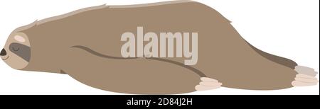 Lindo perezoso para dormir. Ilustración vectorial en estilo de dibujos animados aislados sobre fondo blanco.