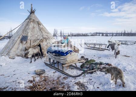 Una mujer de Nenet cargando mercancías en un trineo de madera para una migración de invierno, Yamalo-Nenets Autonomous Okrug, Rusia Foto de stock