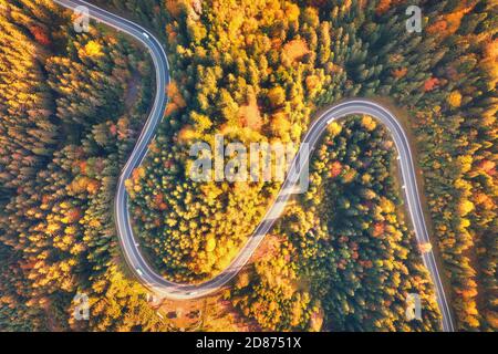 Vista aérea de la carretera en el hermoso bosque al atardecer otoño