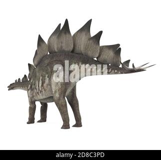 Dinosaurio Stegosaurus aislado Foto de stock