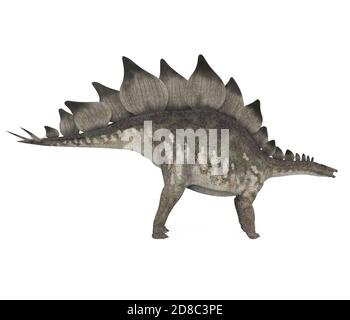 Dinosaurio Stegosaurus aislado Foto de stock
