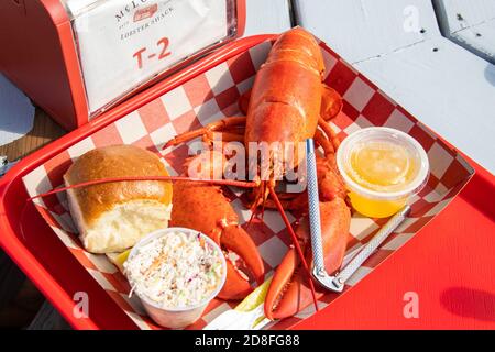 Langosta entera, McLoons Lobster Shack, South Thomaston, Maine, Estados Unidos Foto de stock