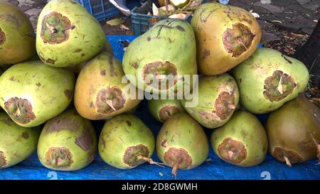 Vista escénica de los cocos tiernos verdes frescos, Cocos nucifera es un miembro de la familia de palmeras Foto de stock