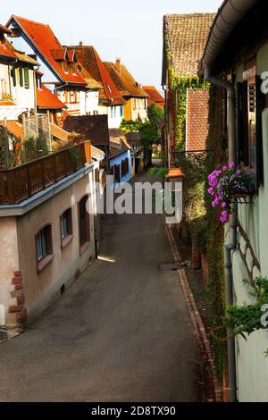calle y colorido pueblo medieval en la región de Alsacia, Riquewihr, Francia Foto de stock