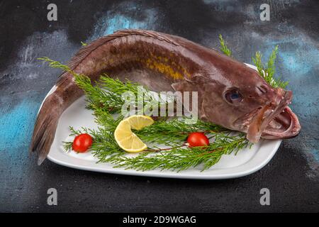 Primer plano pescado de mero, mariscos, pescado en el mercado, Vista  superior pescado de mero en el mercado. (Pescado de Lagos Fotografía de  stock - Alamy