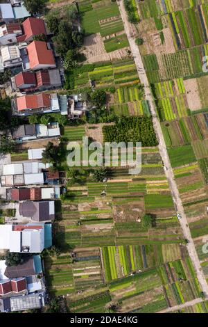 Vista aérea en el jardín Vegetal cerca de Hoi An, Vietnam Foto de stock