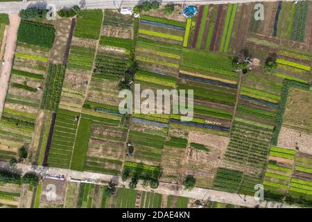 Vista aérea en el jardín Vegetal cerca de Hoi An, Vietnam Foto de stock