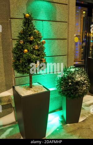 Pequeño árbol artificial en un recipiente aislado en fondo blanco. Imagen  conceptual para el diseño de interiores y decoración de hogar y oficina  Fotografía de stock - Alamy