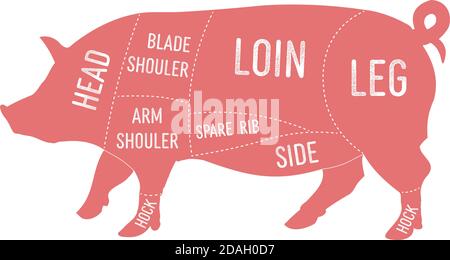 Ilustración vectorial del diagrama de cortes primales de carne de cerdo americana, esquema estadounidense para carnicería Ilustración del Vector
