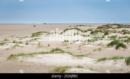 Paisaje de fondo con dunas de arena, playa y hierba de playa de la costa del Mar del Norte de los países Bajos