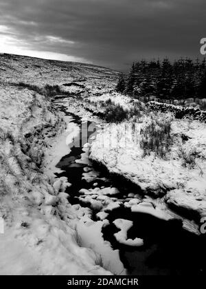 Una escena invernal del North Rotten Burn, que está situado en el Parque Regional Clyde Muirshiel en Escocia. Foto de stock