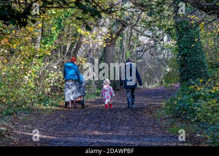 un niño con mujeres de remolque caminando en un paseo familiar en el bosque de color otoñal a lo largo de una pista en el bosque. Foto de stock