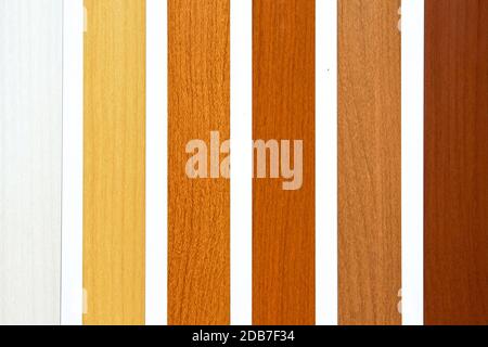 Barniz de madera Muestras Paleta de colores Fotografía de stock