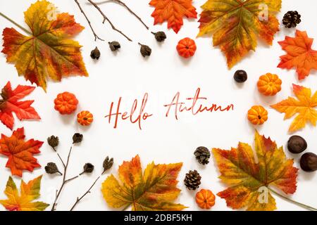 Hermosa caligrafía de Inglés texto Hola Otoño. Marco de decoración de hojas  de otoño de colores brillantes Fotografía de stock - Alamy