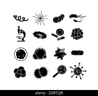 Bacterias glifo vector iconos conjunto. Ilustraciones de la silueta negra del patógeno. Investigación microbiológica. Microorganismos de diversas formas bajo microscopio.