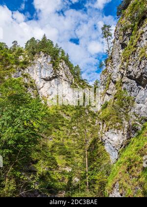 Gorge Almbachklamm en los Alpes Berchtesgaden, Alemania. Foto de stock
