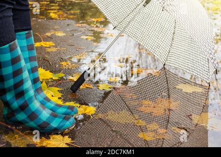 Botas de goma con paraguas en el fondo de los charcos y las hojas amarillas Foto de stock